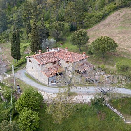 Вилла Fattoria Di Cintoia Понтассьеве Экстерьер фото