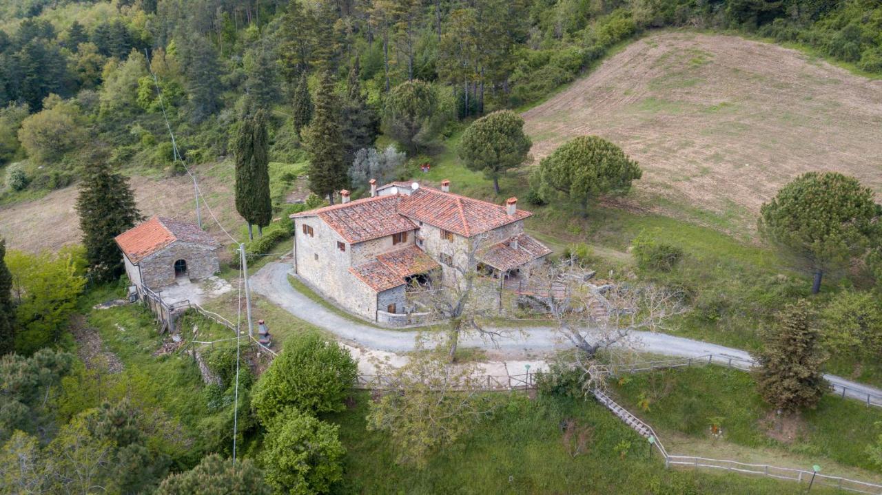 Вилла Fattoria Di Cintoia Понтассьеве Экстерьер фото